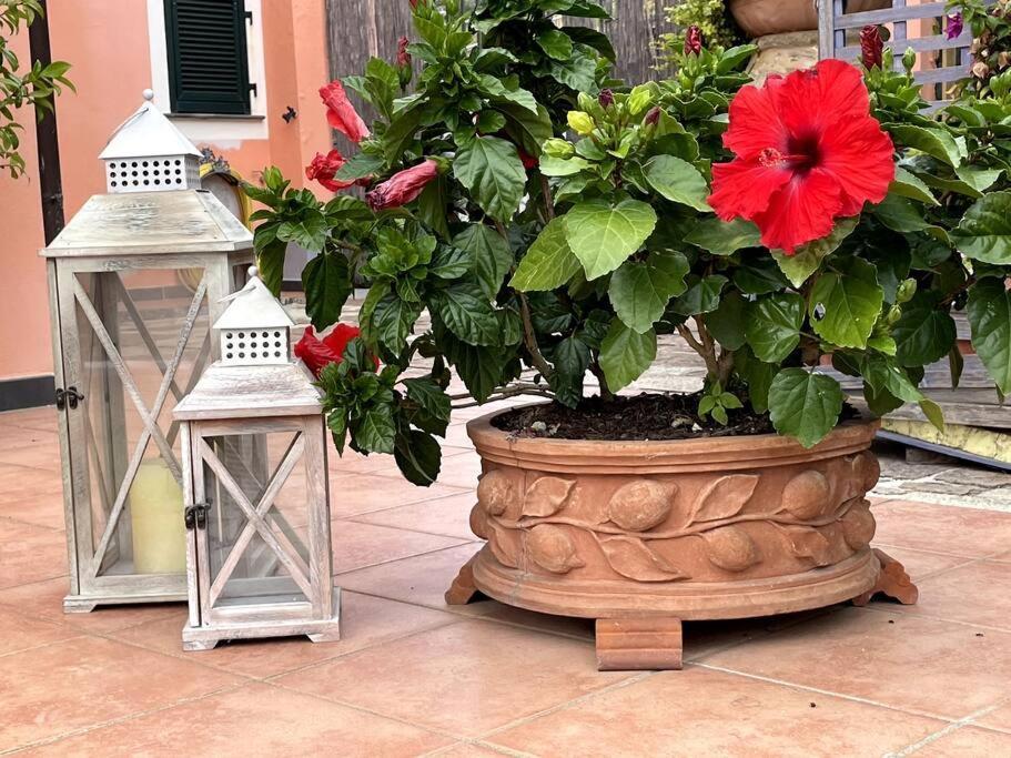 Annali Casa vacanze - Shabby style nella natura La Spezia Esterno foto