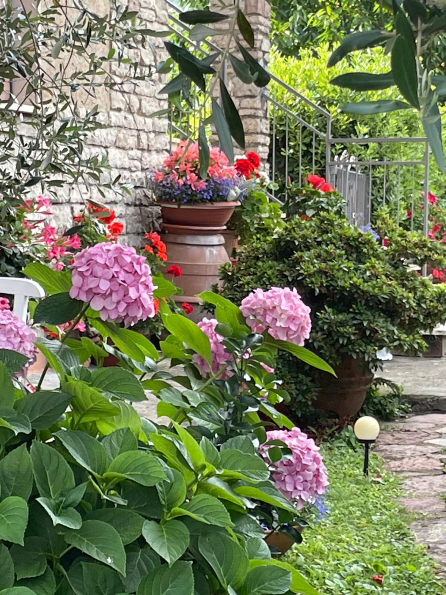 Annali Casa vacanze - Shabby style nella natura La Spezia Esterno foto